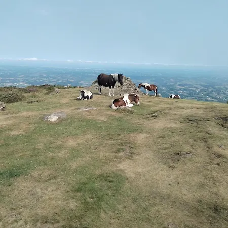 Classe 4 Etoiles Mulhoa * アスパレン