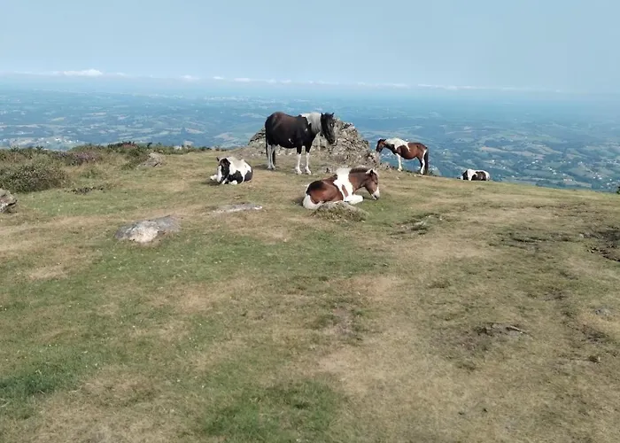 Classe 4 Etoiles Mulhoa * Hasparren